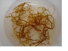 海蕴的功效与作用
