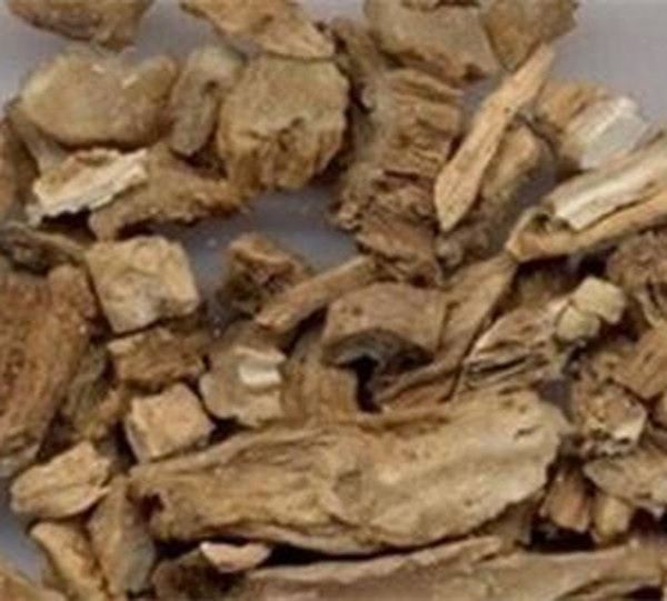 白马骨根的功效与作用
