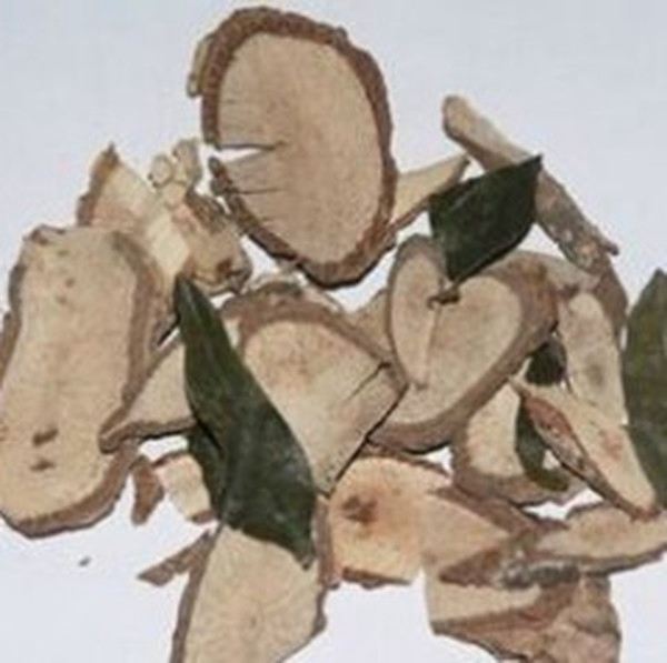 木瓜根的功效与作用