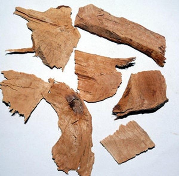 红茴香根的功效与作用
