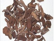 赤地榆的功效与作用