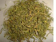 赶风柴的功效与作用
