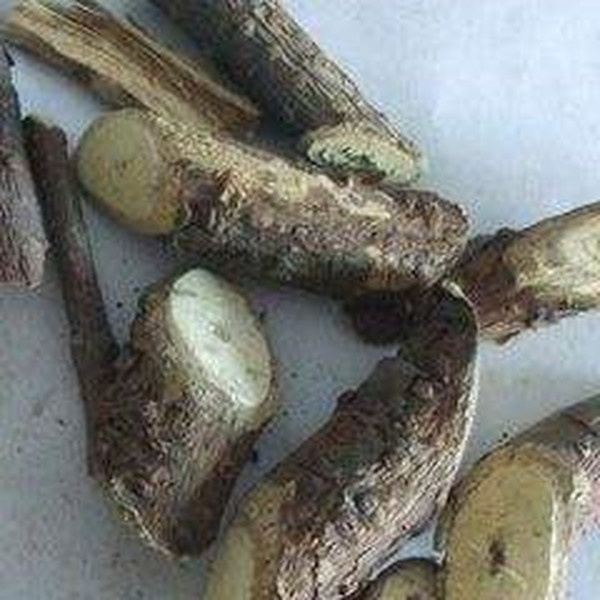 黑老头的功效与作用