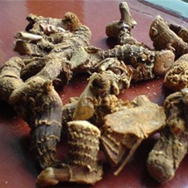 地骷髅的功效与作用