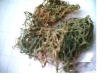 海粉的功效与作用