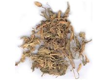 兔耳草的功效与作用