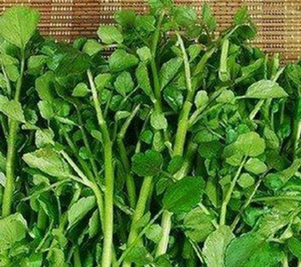 西洋菜干的功效与作用