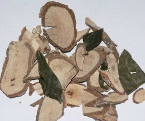 假荔枝根的功效与作用