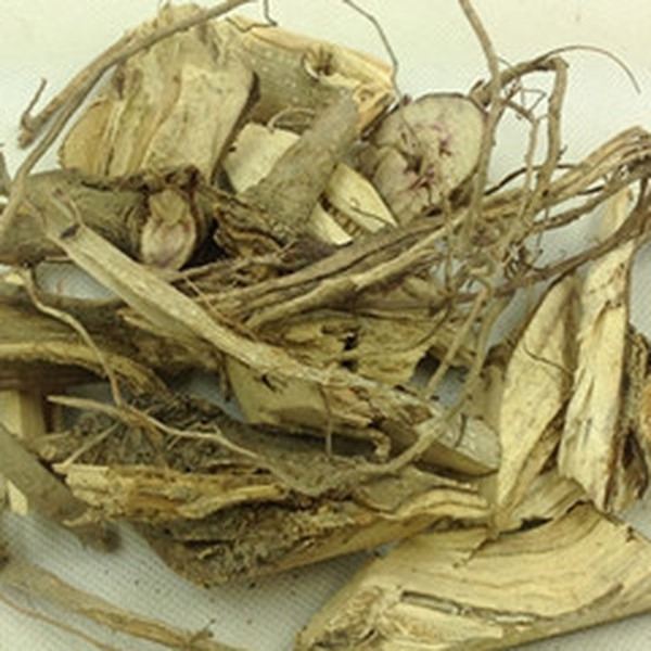 蓖麻根