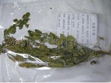 大金牛草的功效与作用