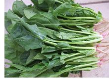 菠菜的功效与作用