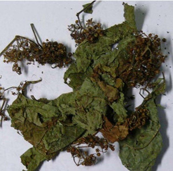 升药底的功效与作用