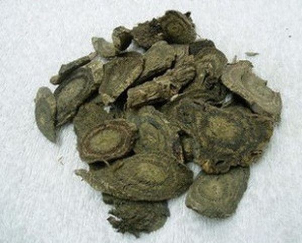 黑皮跌打的功效与作用