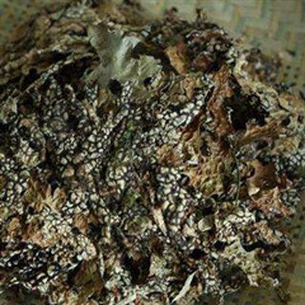 老龙皮的功效与作用