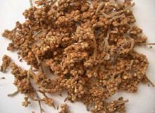 枇杷花的功效与作用