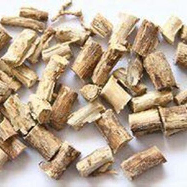 巴豆树根的功效与作用
