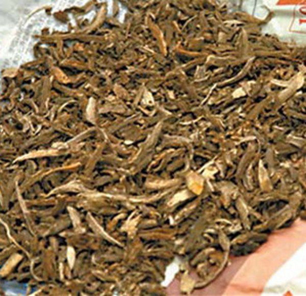 羊踯躅根的功效与作用