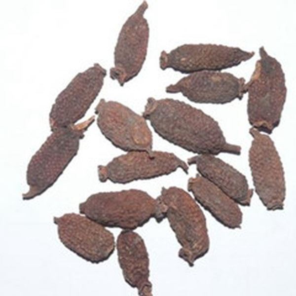木天蓼子的功效与作用